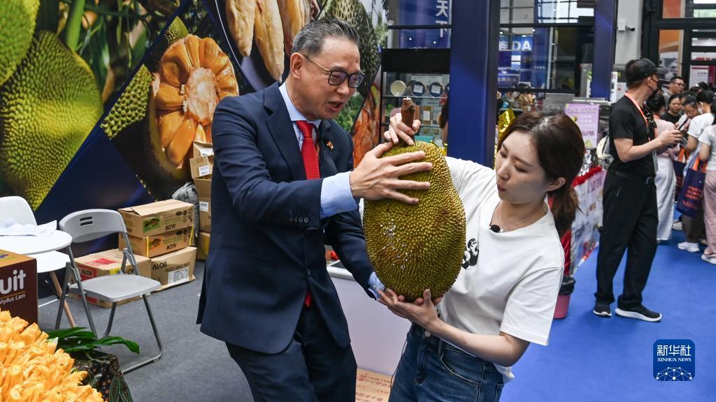 云顶夺宝升级版