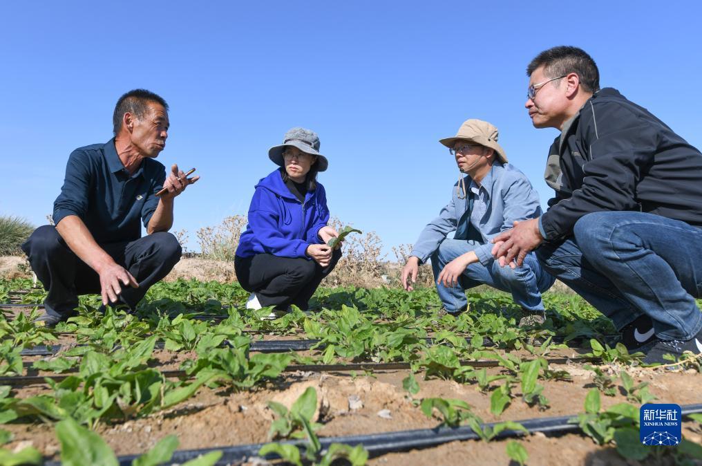 网上游戏打鱼